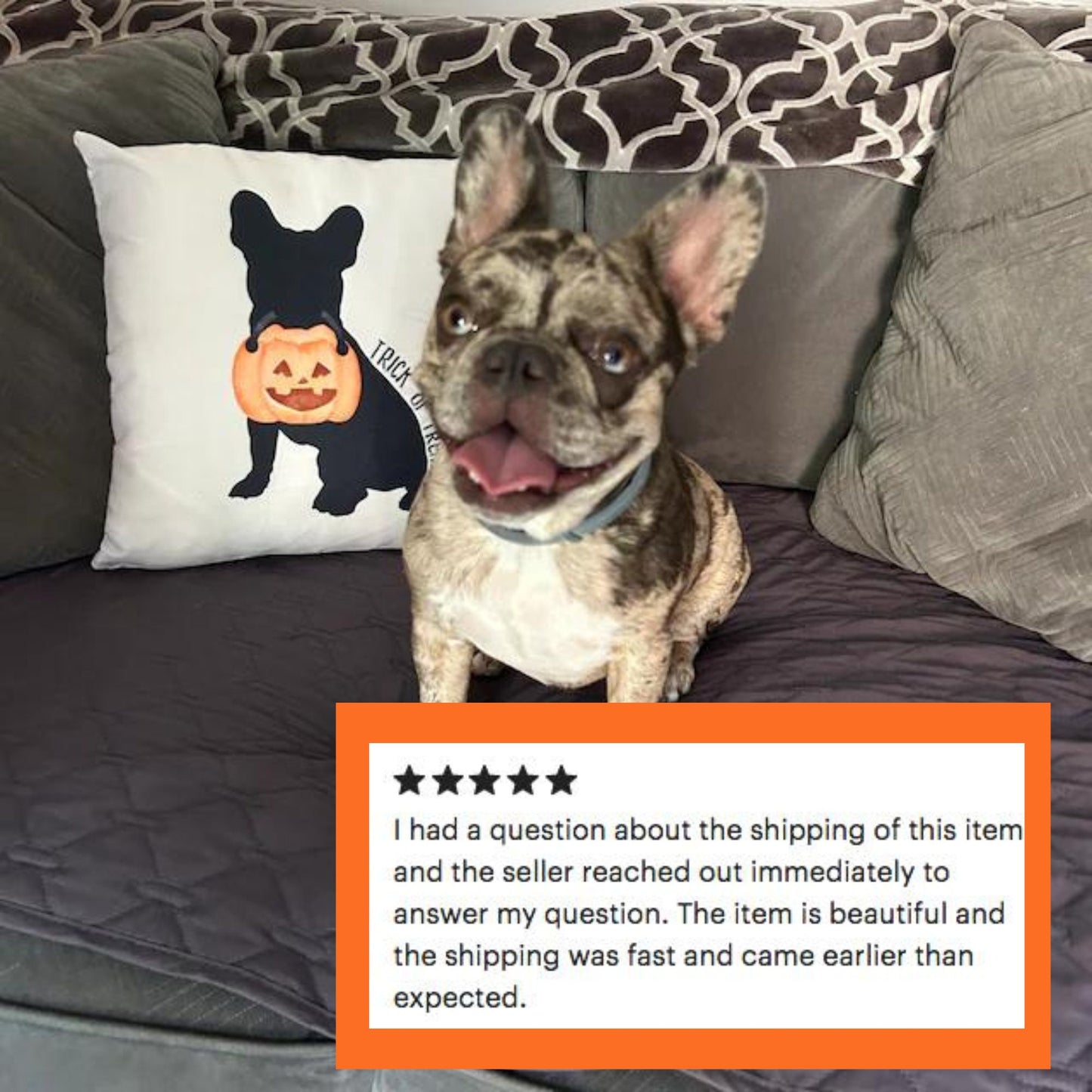 Frenchie French Bulldog Halloween Pillow - French Bulldog Silhouette, Frenchie Mom or Dad Gift, French Bulldog Dad, Frenchie Lover