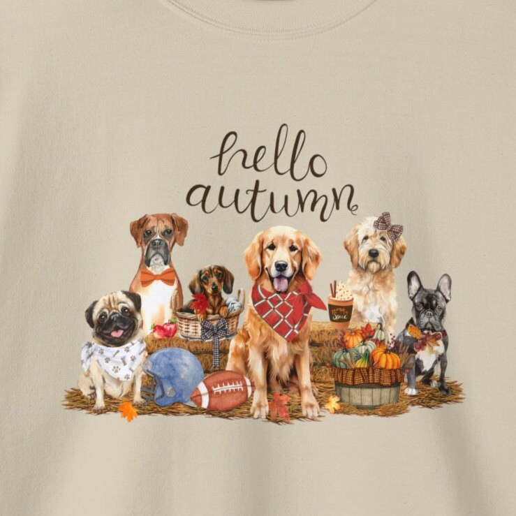 Fall Pumpkin Dog Sweatshirt - Thanksgiving Tshirt, Pumpkin Spice Tee, Football Season, Dog Lover Groomer, Dog Mom