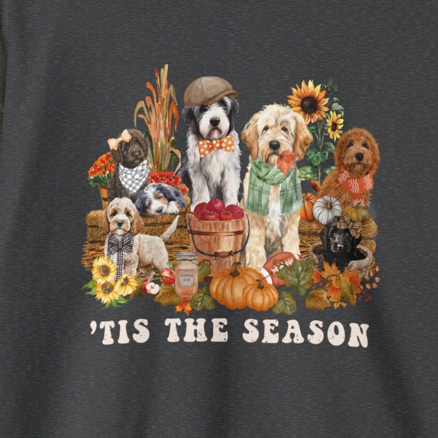 Fall Pumpkin Doodle Dogs Sweatshirt - Pumpkin Spice, Doodle Dog Lover Groomer, Dog Mom, Goldendoodle, Cockapoo, Bernedoodle & More