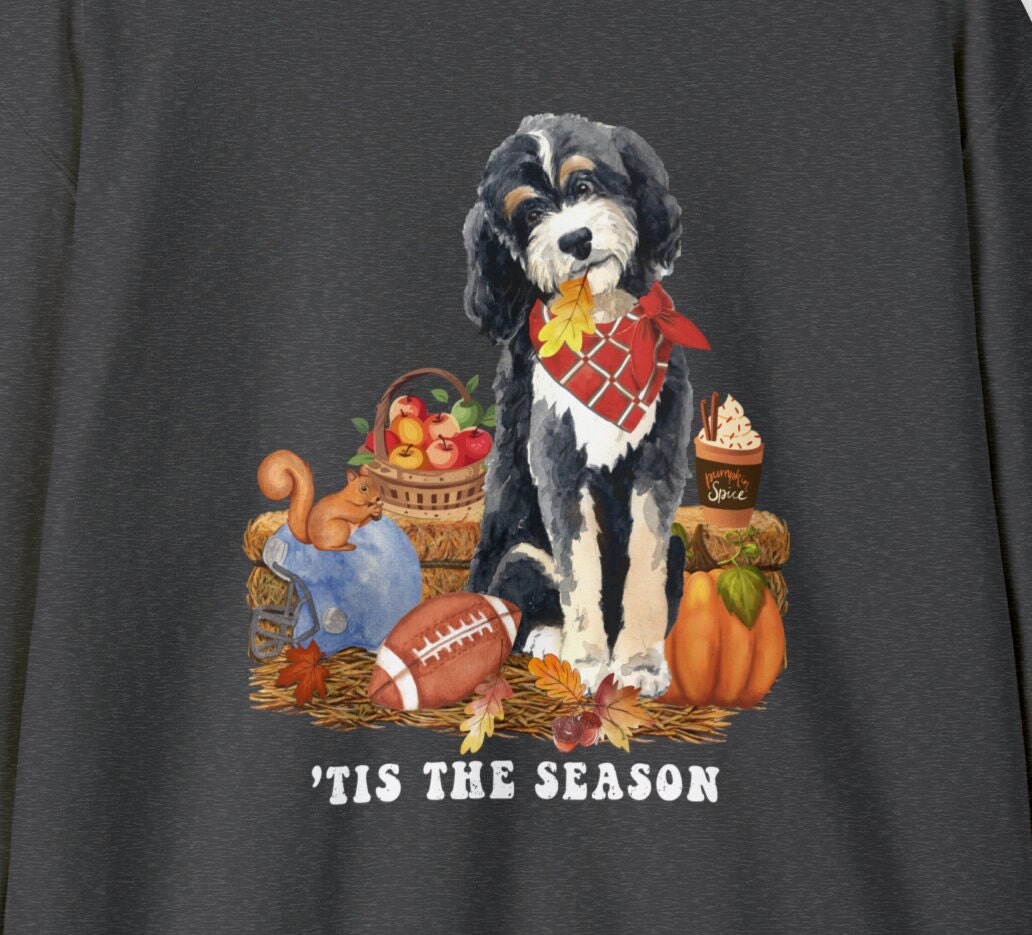 Bernedoodle Dog Fall Sweatshirt - Bernedoodle, Football, Pumpkin Spice, Doodle Mom Shirt, Autumn Doodle Dog Shirt