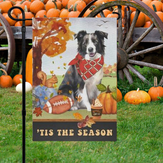 Border Collie Fall Garden Flag - Football, Pumpkin Spice, Border Collie Dog Mom Gift, Border Collie Lover Home Decor Halloween, Au