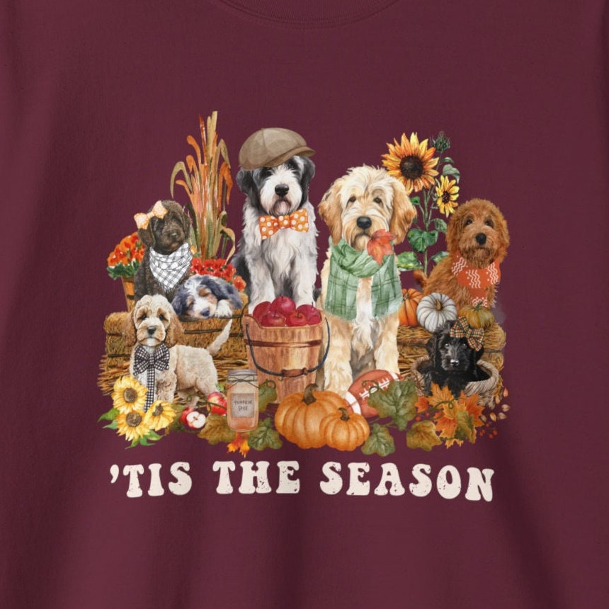 Fall Pumpkin Doodle Dogs Sweatshirt - Pumpkin Spice, Doodle Dog Lover Groomer, Dog Mom, Goldendoodle, Cockapoo, Bernedoodle & More