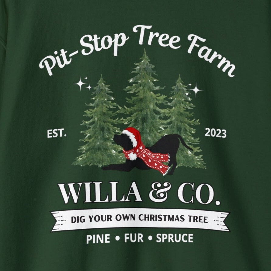 Personalized Pitbull Dog Christmas Sweatshirt - Pittie Dog Mom Gift Shirt, Custom Pitbull Lover Unisex Sweatshirt, Pitbull Shirt