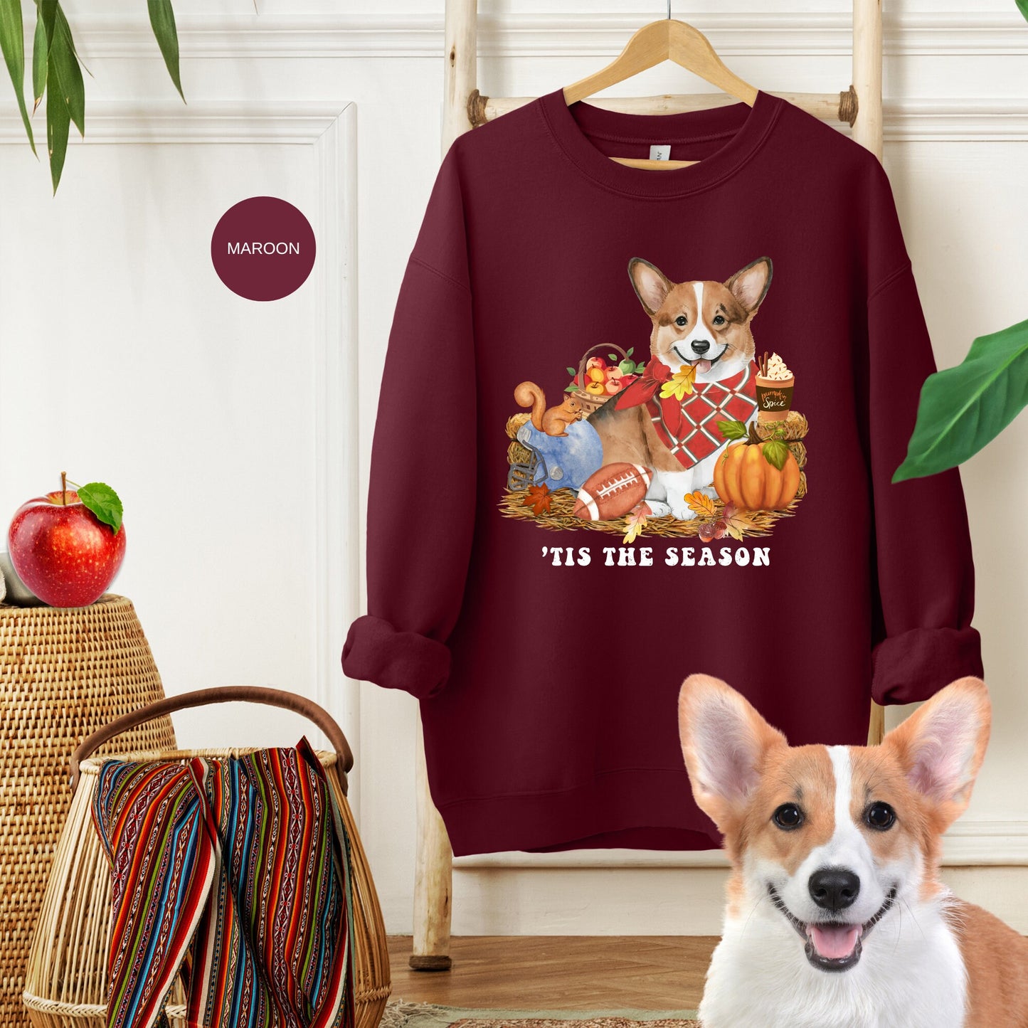 Corgi Dog Fall Pumpkin Dog Sweatshirt - Pumpkin Spice Tee, Football Season, Dog Lover Groomer, Corgi Dog Mom Shirt