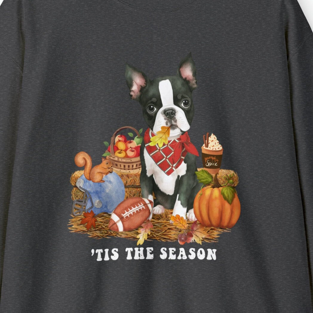 Boston Terrier Dog Fall Pumpkin Dog Sweatshirt - Pumpkin Spice Tee, Football Season, Dog Lover Groomer, Boston Dog Gift