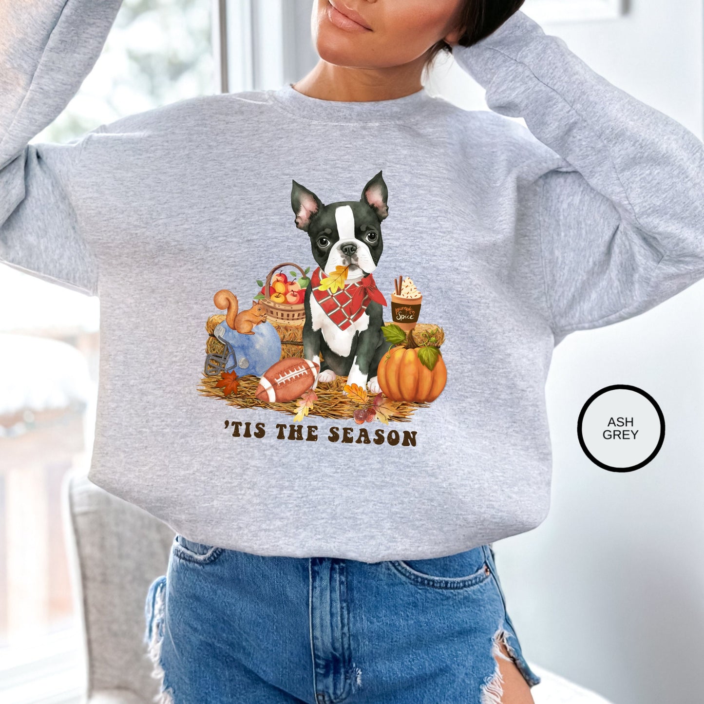 Boston Terrier Dog Fall Pumpkin Dog Sweatshirt - Pumpkin Spice Tee, Football Season, Dog Lover Groomer, Boston Dog Gift