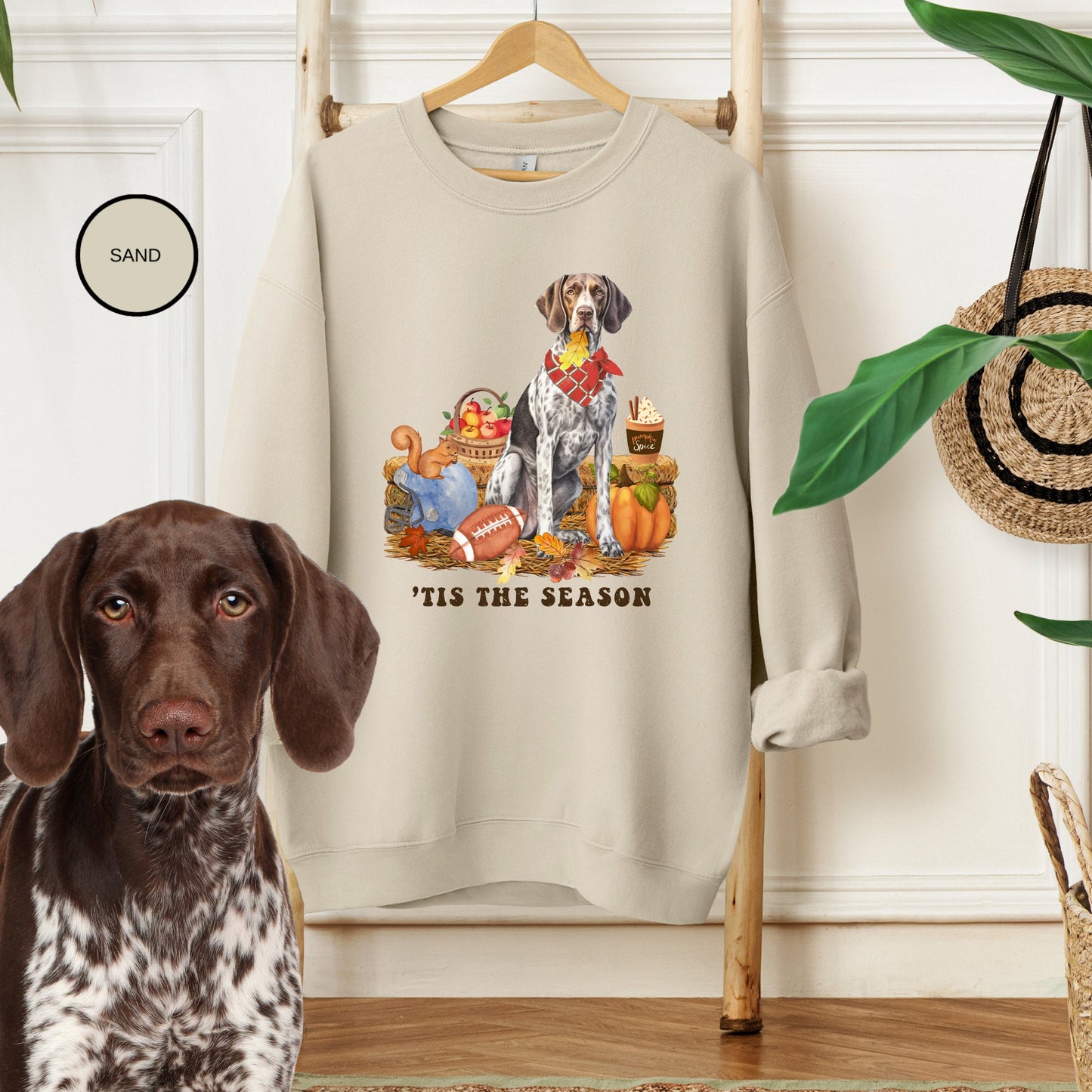 German Shorthaired Pointer Fall Pumpkin Dog Sweatshirt - Pumpkin Spice Tee, Halloween -Football Season, Dog Lover Groomer, Gsp Mom