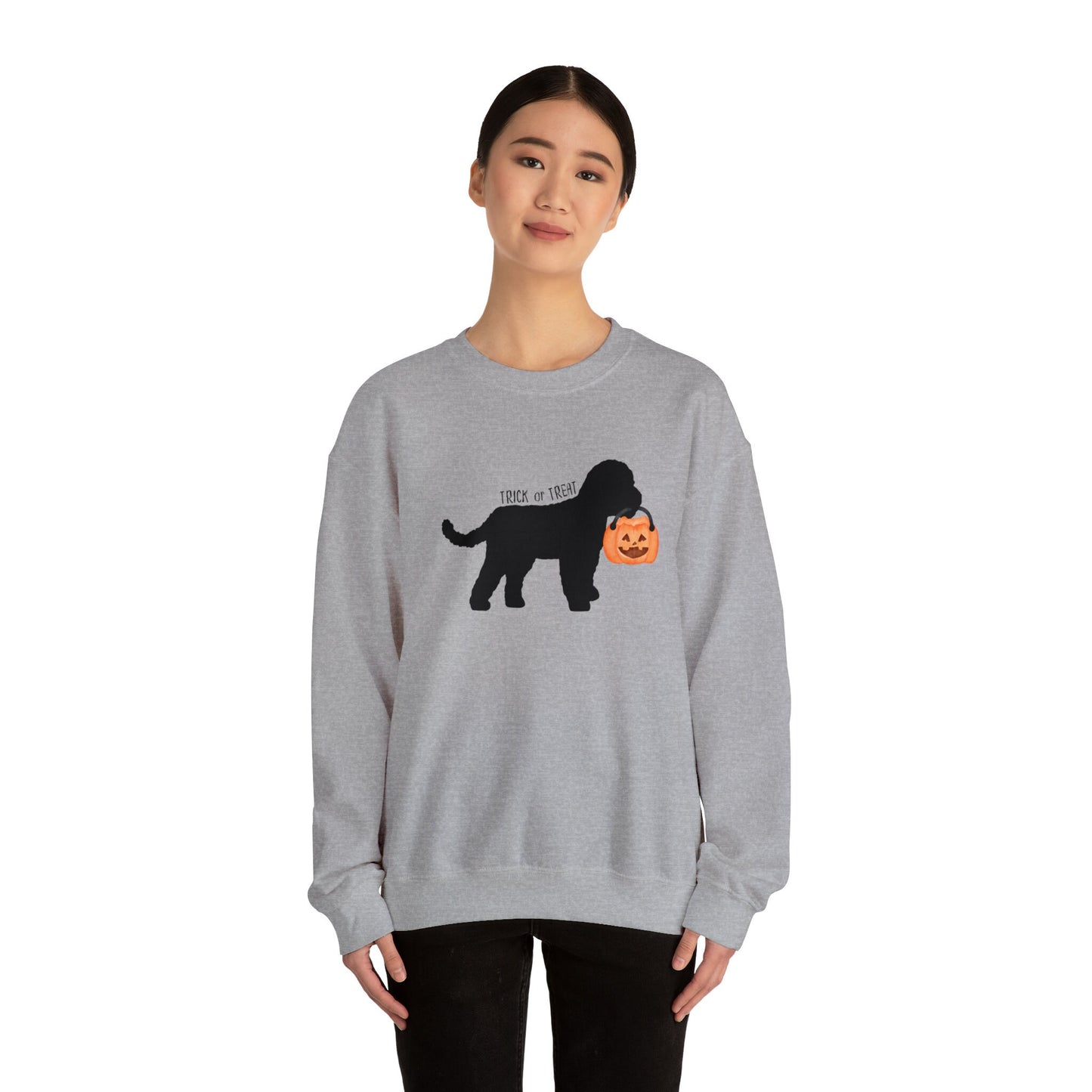 Mini Doodle - Cockapoo, Cavapoo Halloween Dog Lover Sweatshirt, Doodle Mom Gift, Halloween Dog With Pumpkin Sweatshirt