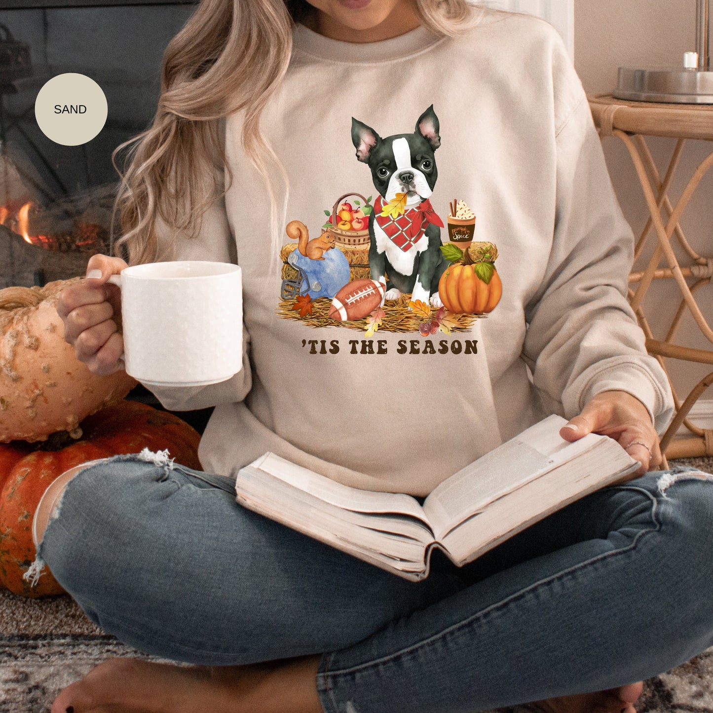 Boston Terrier Dog Fall Pumpkin Dog Sweatshirt - Pumpkin Spice Tee, Football Season, Dog Lover Groomer, Boston Dog Gift