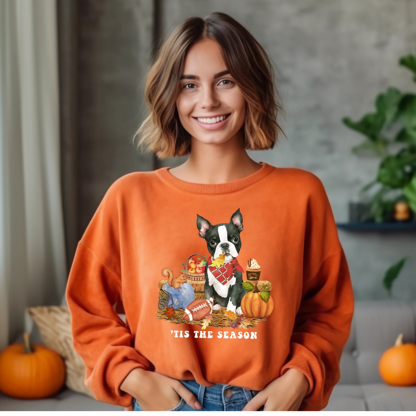 Boston Terrier Dog Fall Pumpkin Dog Sweatshirt - Pumpkin Spice Tee, Football Season, Dog Lover Groomer, Boston Dog Gift