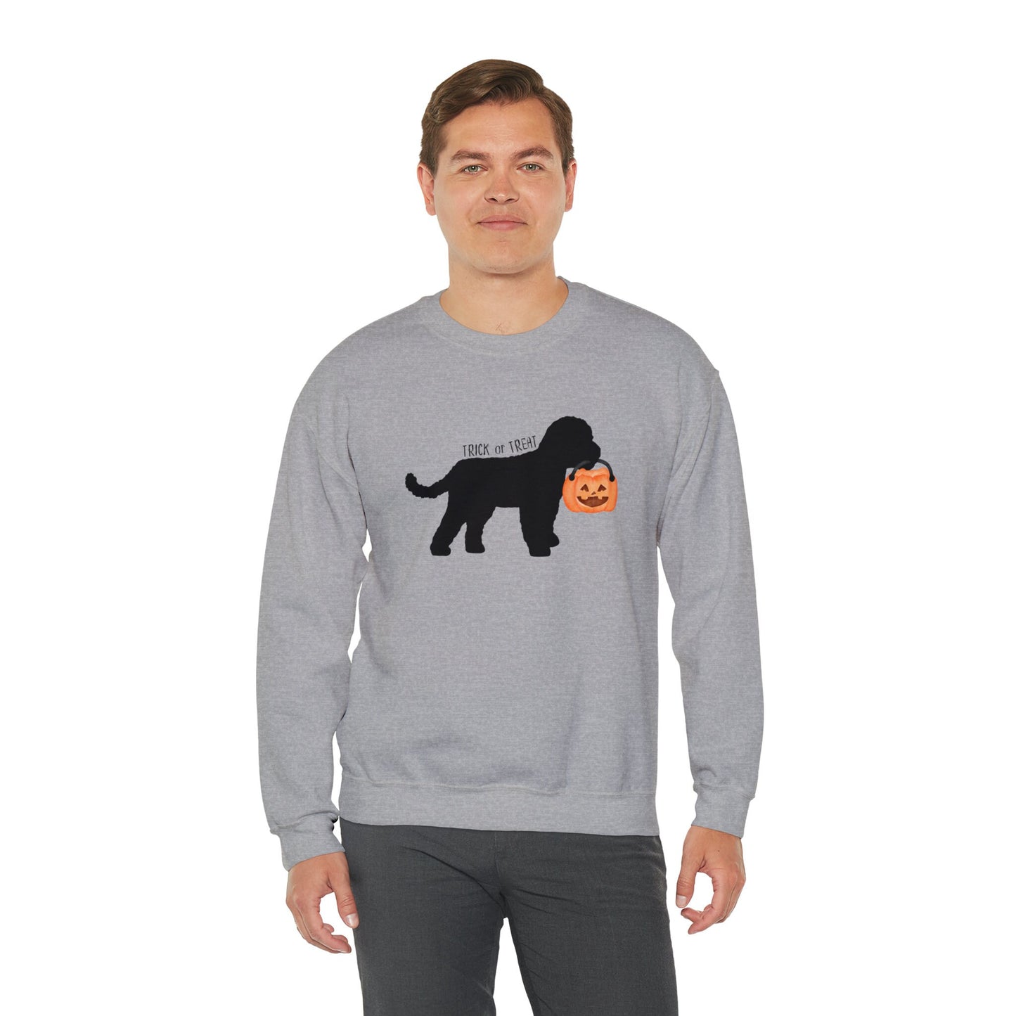 Mini Doodle - Cockapoo, Cavapoo Halloween Dog Lover Sweatshirt, Doodle Mom Gift, Halloween Dog With Pumpkin Sweatshirt