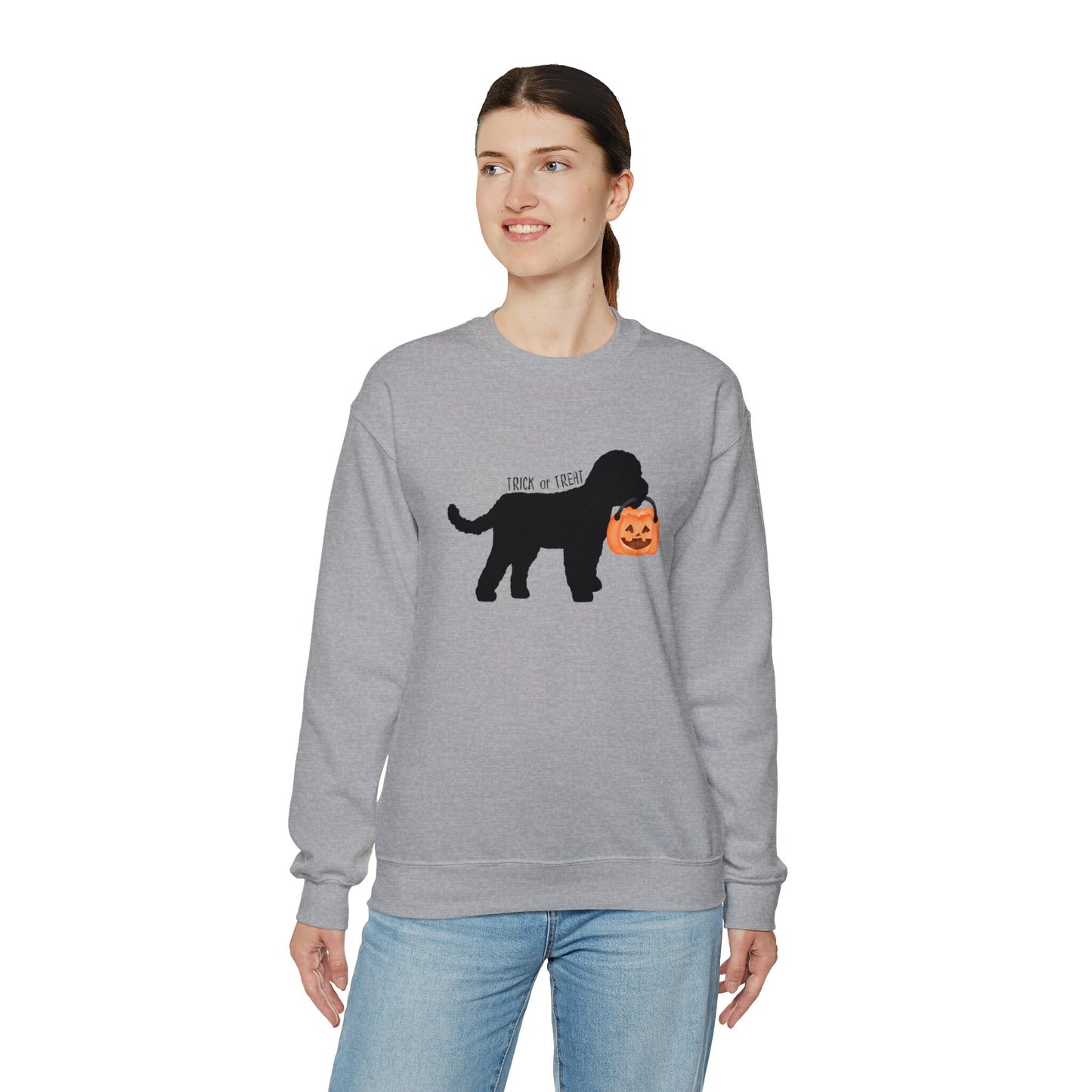 Mini Doodle - Cockapoo, Cavapoo Halloween Dog Lover Sweatshirt, Doodle Mom Gift, Halloween Dog With Pumpkin Sweatshirt